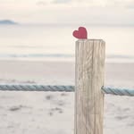 Karin Jacobs - @karin_jacobs75 - Instagram