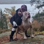 Karin Jensén - @karin_jensen85 - Instagram