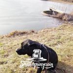 Karin Keller - @karin.keller.92798 - Instagram