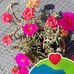 Karin Klein - Facebook