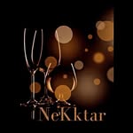 Karin Klein - @nekktars - Instagram