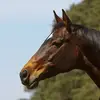 karinkraemer4 - @karinkraemer4 - TikTok