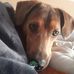 Karin Krause - Facebook