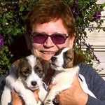 Karin Krüger - @karkru46 - Instagram