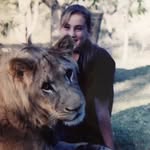 Karin Kruger - @karinkruger.wildlifeart - Instagram