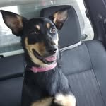Karin Lawson - @awesomelawsons4 - Instagram