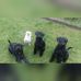 Karin Lay - Facebook