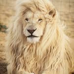 Karin Leon - @karin.leon.315 - Instagram