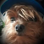 Karin Lindner - @lindner596 - Instagram