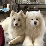 Karin Lindner-Koltermann - @kar.lin17 - Instagram
