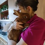 Karin Link - @karinschwarzhuber - Instagram