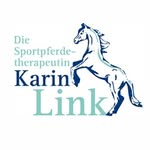 Karin Link - @karinlink_simplylink - Instagram