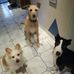 Karin Link - Facebook