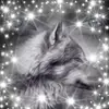 karinlinke249 - @karinlinke249 - TikTok