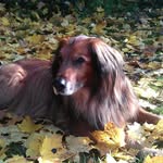 Kar Lo - @karin.lorenz.54 - Instagram