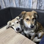 Karin Lorenz - @karinlorenz27 - Instagram