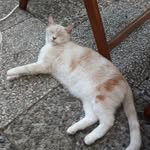Karin Lorenz - @karin.lorenz.71 - Instagram