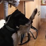 Karin Ludwig - @karin.ludwig.779 - Instagram