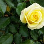 Karin Ludwig - @sonne3108 - Instagram