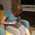 Karin Ludwig - @ludwig2865 - Instagram