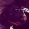 Karin Ludwig - @karin.ludwig6 - TikTok