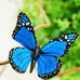 Karin Luke - Facebook