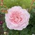 Karin Lund - Facebook