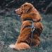 Karin Lund - Facebook