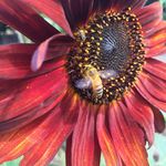 Karin Lund Gardner - @karinlundg - Instagram
