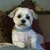 Karin Mac 333 - @www.karinmac333 - TikTok