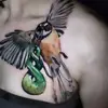 karinamacdonald - @karinamacdonald - TikTok