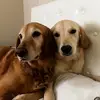 madisonkarin3 - @madisonkarin3 - TikTok