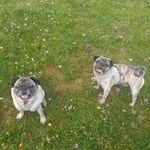 Karin Maier - @kmaieralbstadt - Instagram
