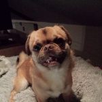 Karin Maier - @karin.maier.16 - Instagram