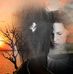Karin Maier - Facebook