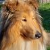 Margot-Karin Maier - Facebook