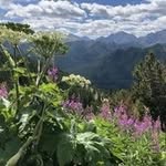 Karin Marsh, Calgary AB - @karinmarsh - Instagram