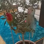 Karin Marshall - @karinmarshall2596 - Instagram