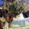 Karin Sue Marshall - @karin.sue.marshal - TikTok