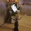karinmast0 - @karinmast0 - TikTok