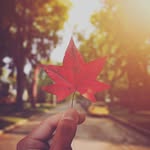 rindu _senja - @karin_maul - Instagram