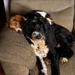 Karin Sue McCarty - @karin.flanagan.9 - Instagram