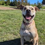 Karin McDonough - @kedbells - Instagram