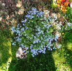 Karin McElheney - Facebook