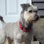 Karin Parker McKay - @kmckay1127 - Instagram