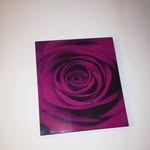 Karin Meisner - @karin.meisner.56 - Instagram
