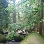 Karin Meister - @meister__karin - Instagram