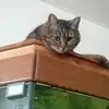karinamertz500 - @karinamertz500 - TikTok