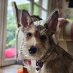 Karin Meyer - @karinmeyer14203 - Instagram