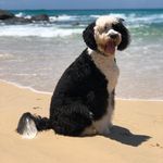 Karin Middleton - @fergus_of_the_outback - Instagram